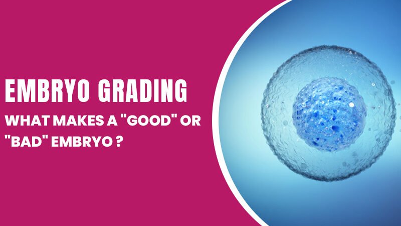Embryo Grading 101: What Makes a "Good" or "Bad" Embryo?