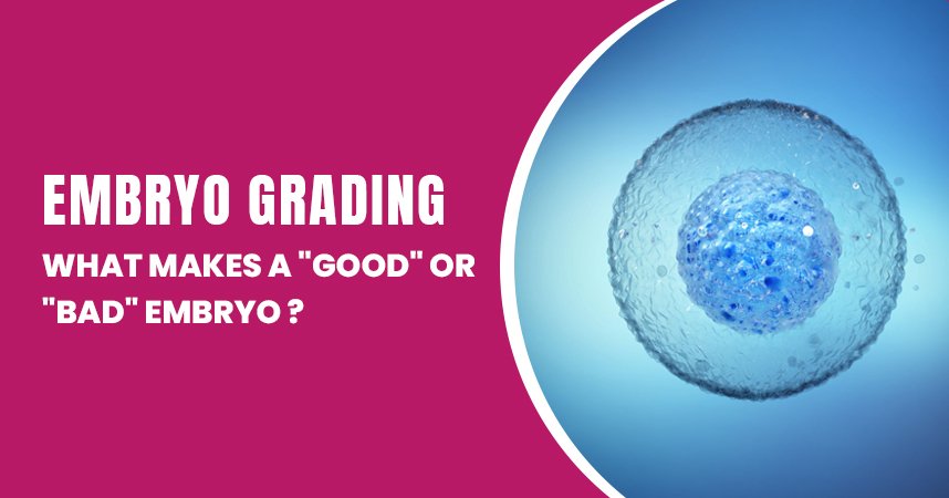 Embryo Grading 101: What Makes a "Good" or "Bad" Embryo?
